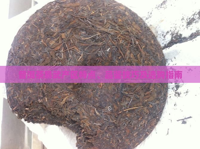 普洱茶易武产区特点、品鉴技巧及选购指南