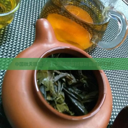 中国秋天晒普洱茶：太阳晒茶对茶叶影响好不好？