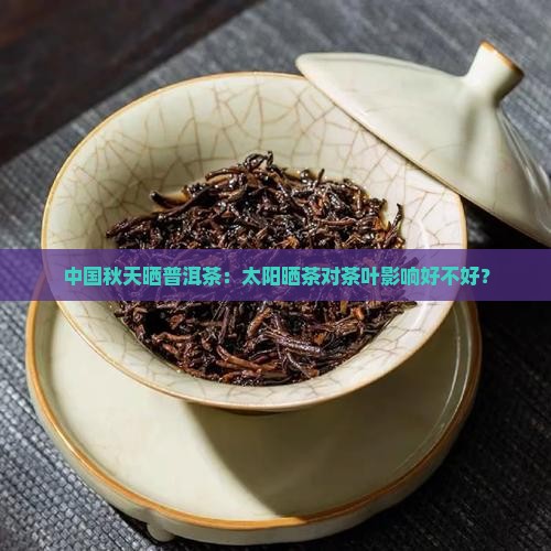 中国秋天晒普洱茶：太阳晒茶对茶叶影响好不好？