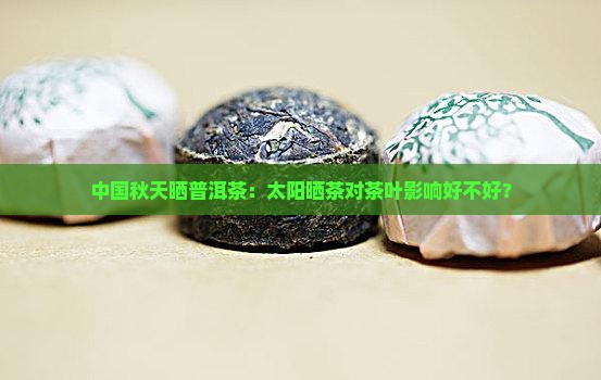 中国秋天晒普洱茶：太阳晒茶对茶叶影响好不好？