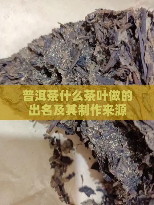 普洱茶什么茶叶做的出名及其制作来源