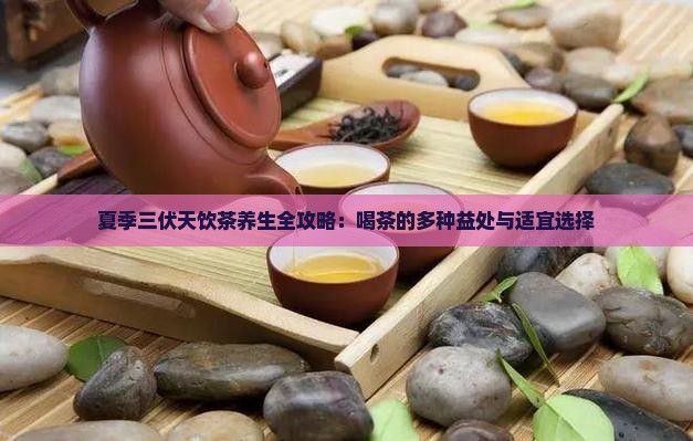 夏季三伏天饮茶养生全攻略：喝茶的多种益处与适宜选择