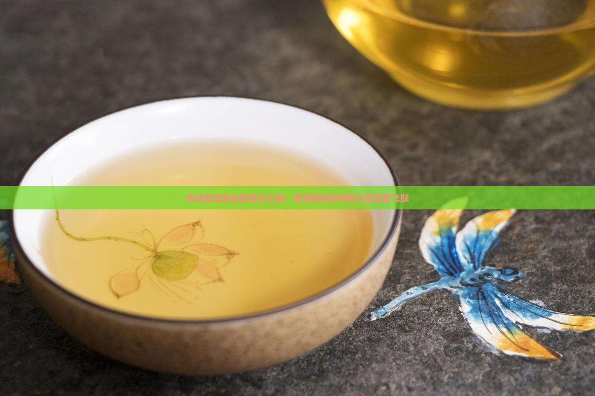 华润普洱茶品质提升之道：普洱秘籍如何助力普洱茶飞跃