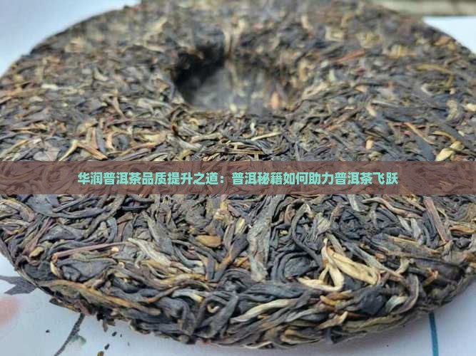华润普洱茶品质提升之道：普洱秘籍如何助力普洱茶飞跃