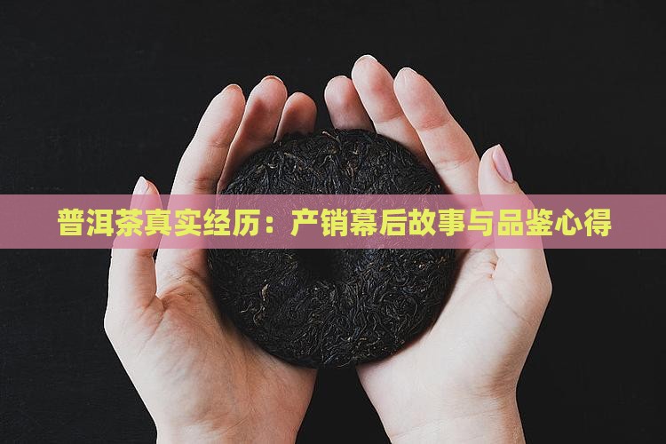 普洱茶真实经历：产销幕后故事与品鉴心得