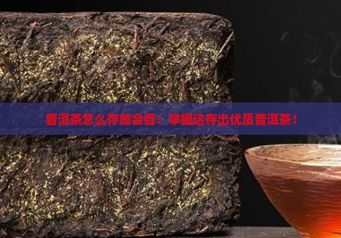 普洱茶怎么存放会香：掌握这存出优质普洱茶！
