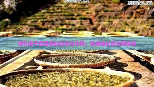 滑竹梁子普洱茶的功效与作用：健康益处及饮用指南