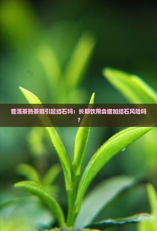 普洱茶熟茶能引起结石吗：长期饮用会增加结石风险吗？