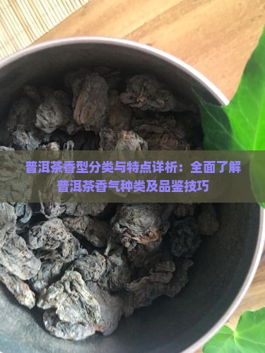 普洱茶香型分类与特点详析：全面了解普洱茶香气种类及品鉴技巧