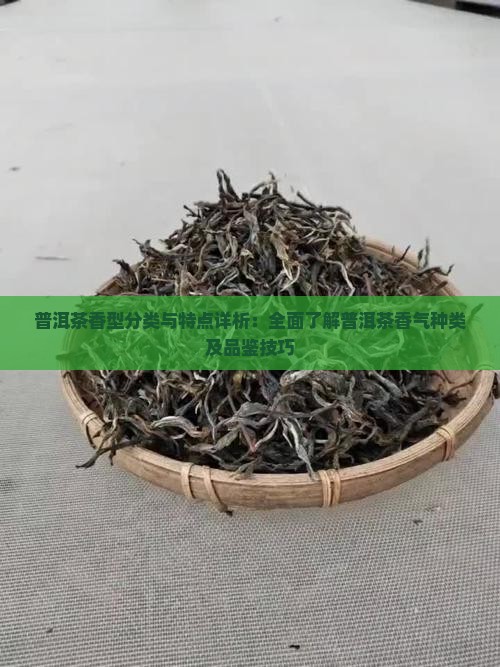 普洱茶香型分类与特点详析：全面了解普洱茶香气种类及品鉴技巧
