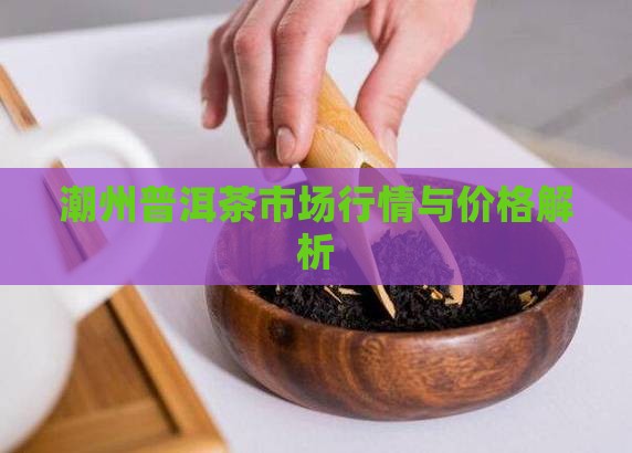 潮州普洱茶市场行情与价格解析