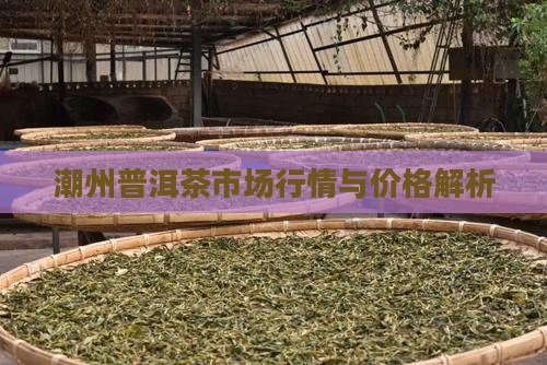 潮州普洱茶市场行情与价格解析