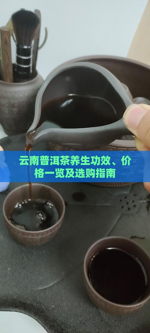 云南普洱茶养生功效、价格一览及选购指南 云南普洱茶养生功效、价格一览及选购指南