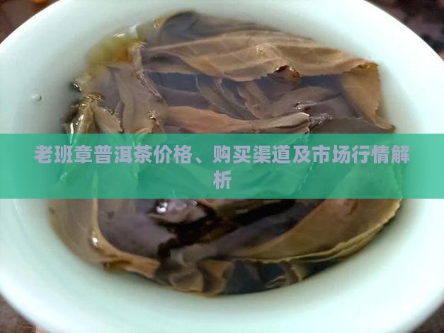 老班章普洱茶价格、购买渠道及市场行情解析
