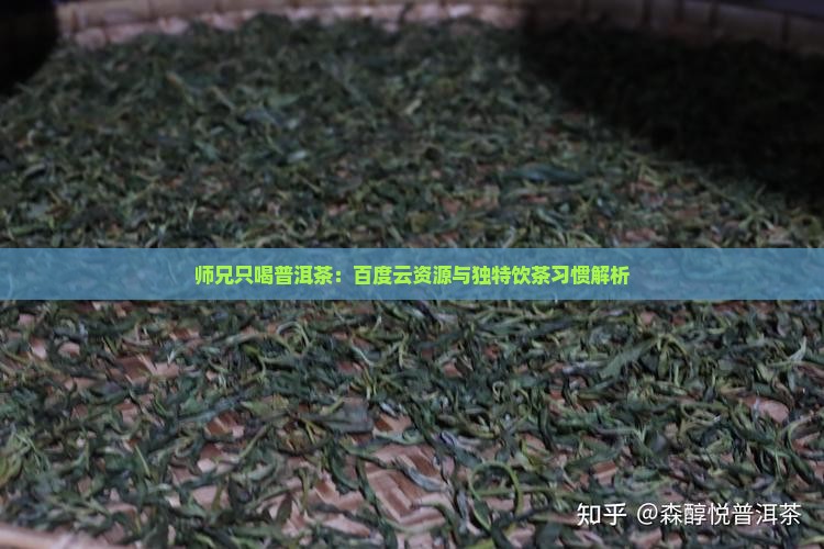 师兄只喝普洱茶：百度云资源与独特饮茶习惯解析