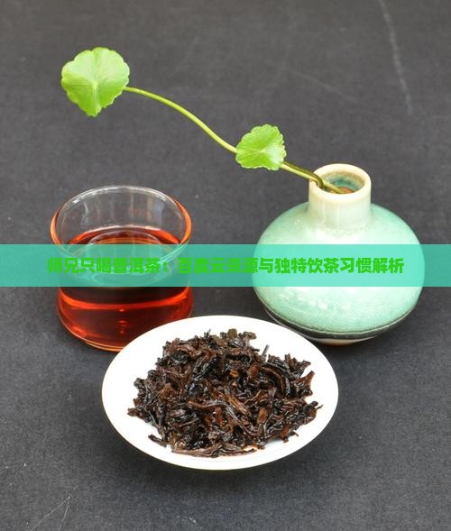 师兄只喝普洱茶：百度云资源与独特饮茶习惯解析