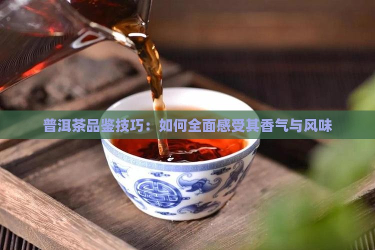 普洱茶品鉴技巧：如何全面感受其香气与风味