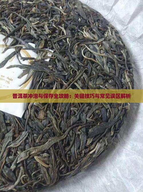 普洱茶冲泡与保存全攻略：关键技巧与常见误区解析