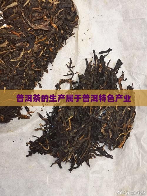 普洱茶的生产属于普洱特色产业