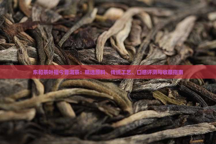 东和茶叶福今普洱茶：精选原料、传统工艺、口感评测与收藏指南