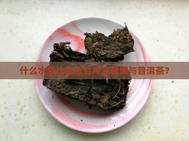 什么水质比较适合冲泡普洱与普洱茶？