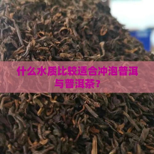 什么水质比较适合冲泡普洱与普洱茶？