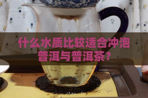 什么水质比较适合冲泡普洱与普洱茶？