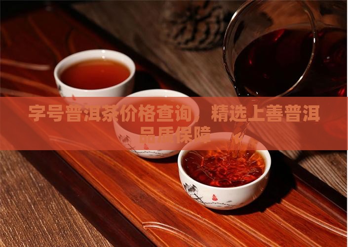 字号普洱茶价格查询，精选上善普洱品质保障