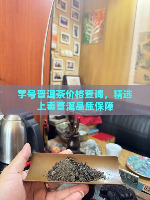 字号普洱茶价格查询，精选上善普洱品质保障