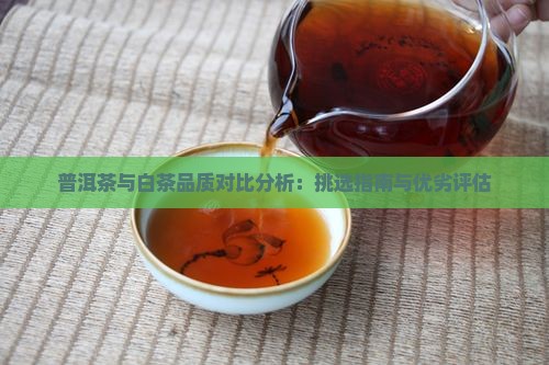 普洱茶与白茶品质对比分析：挑选指南与优劣评估