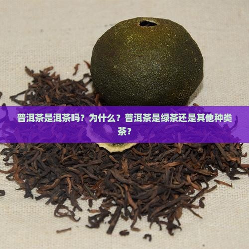 普洱茶是洱茶吗？为什么？普洱茶是绿茶还是其他种类茶？