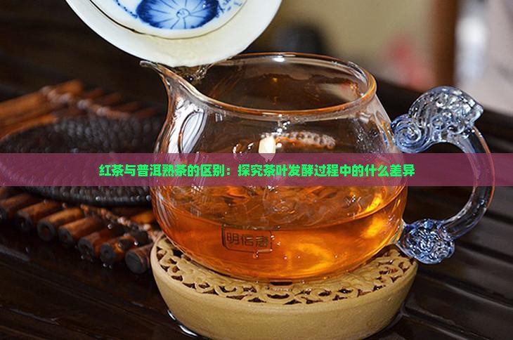 红茶与普洱熟茶的区别：探究茶叶发酵过程中的什么差异