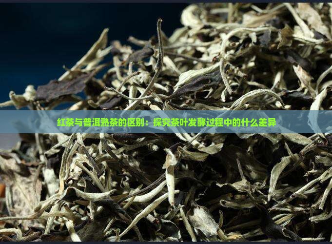 红茶与普洱熟茶的区别：探究茶叶发酵过程中的什么差异