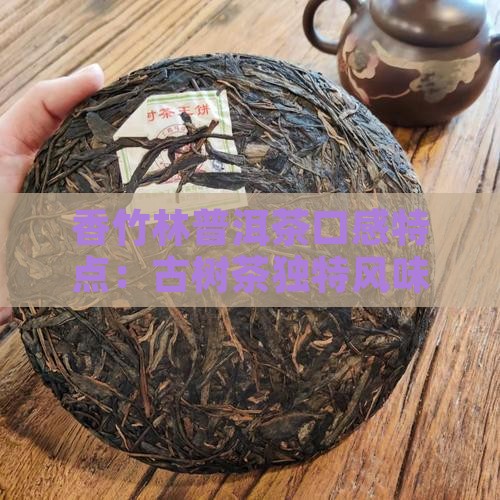 香竹林普洱茶口感特点：古树茶独特风味解析