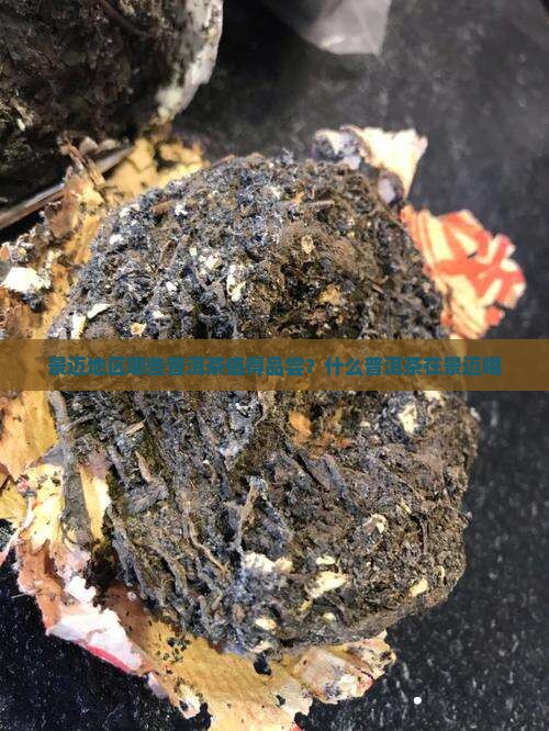景迈地区哪些普洱茶值得品尝？什么普洱茶在景迈喝