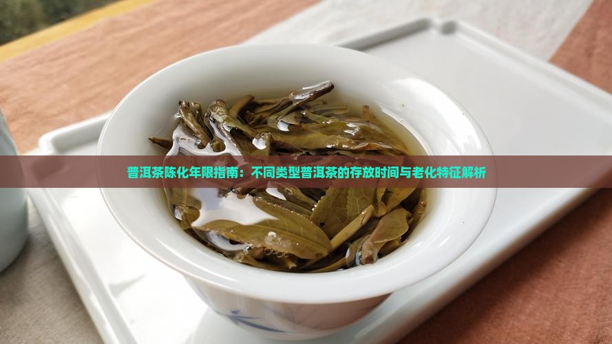 普洱茶陈化年限指南：不同类型普洱茶的存放时间与老化特征解析