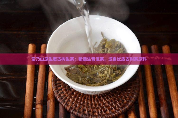 蛮乃山原生态古树生茶：精选生普洱茶，源自优质古树茶原料