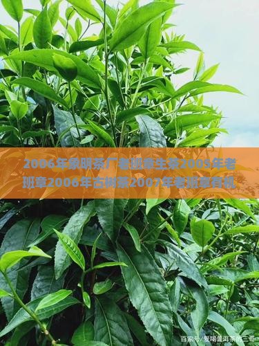 2006年象明茶厂老班章生茶2005年老班章2006年古树茶2007年老班章有机茶