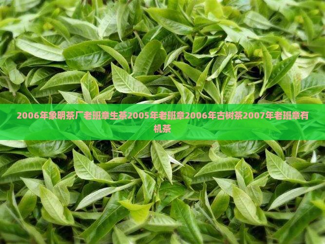 2006年象明茶厂老班章生茶2005年老班章2006年古树茶2007年老班章有机茶