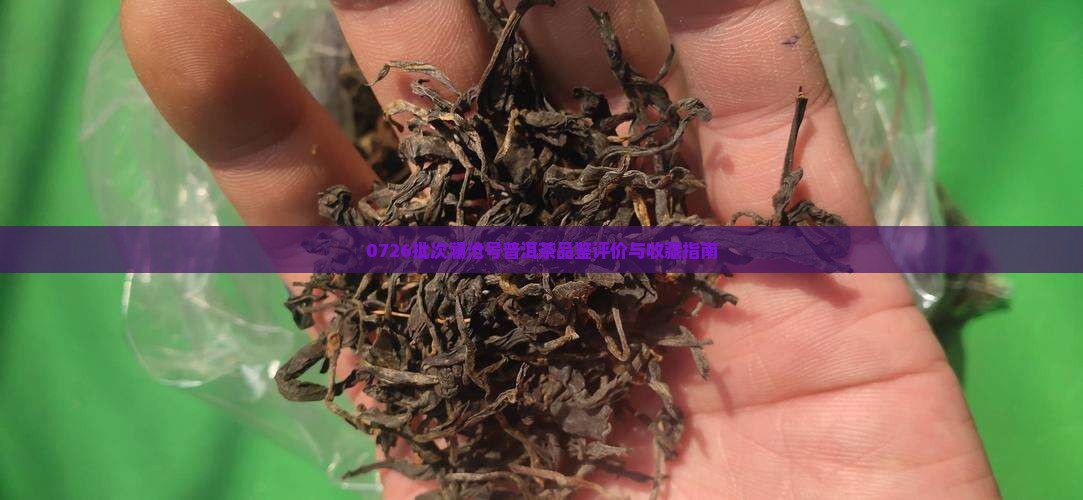 0726批次澜沧号普洱茶品鉴评价与收藏指南