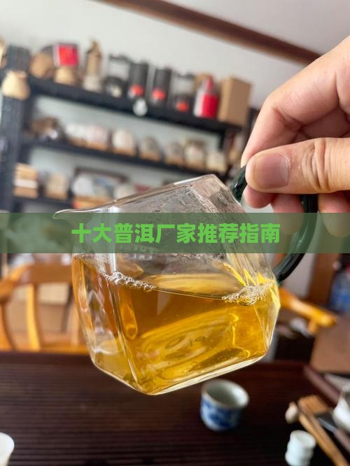 十大普洱厂家推荐指南