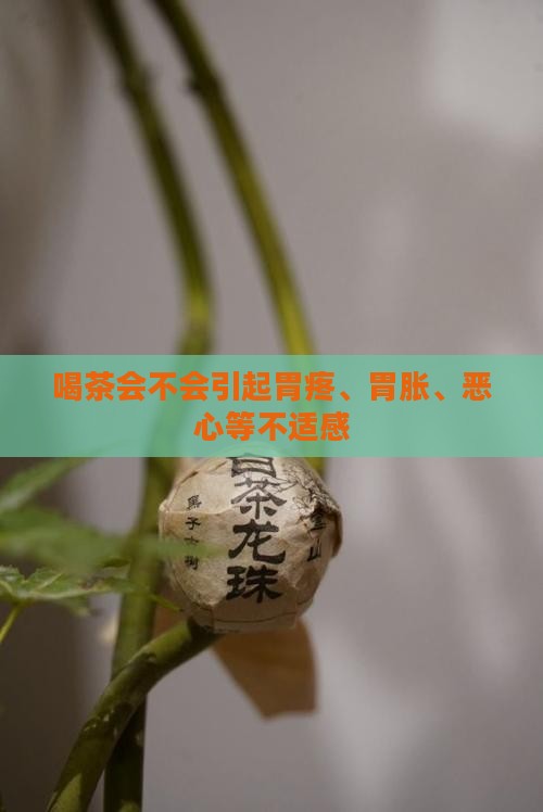 喝茶会不会引起胃疼、胃胀、恶心等不适感