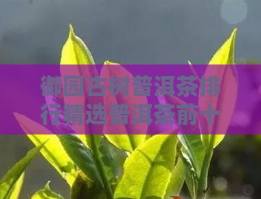 御园古树普洱茶排行精选普洱茶前十