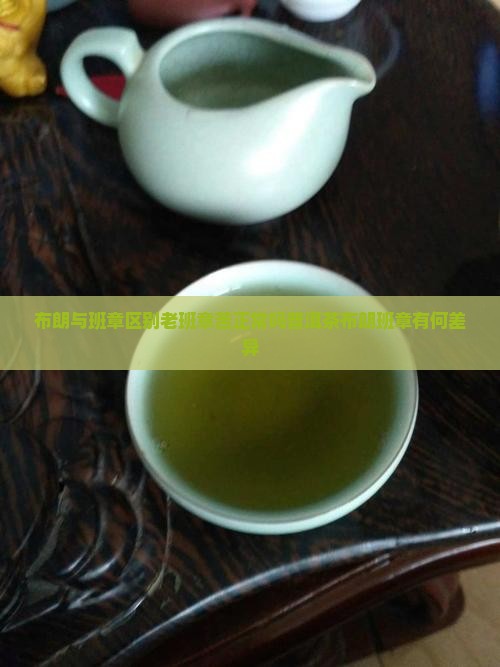 布朗与班章区别老班章苦正常吗普洱茶布朗班章有何差异