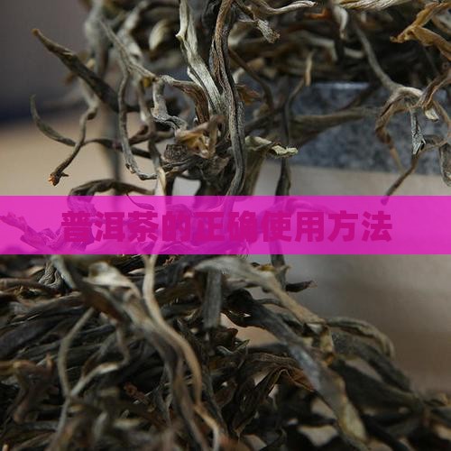普洱茶的正确使用方法