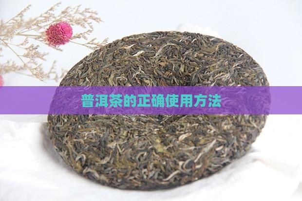 普洱茶的正确使用方法