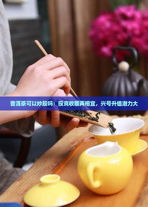 普洱茶可以炒股吗：投资收藏两相宜，兴号升值潜力大
