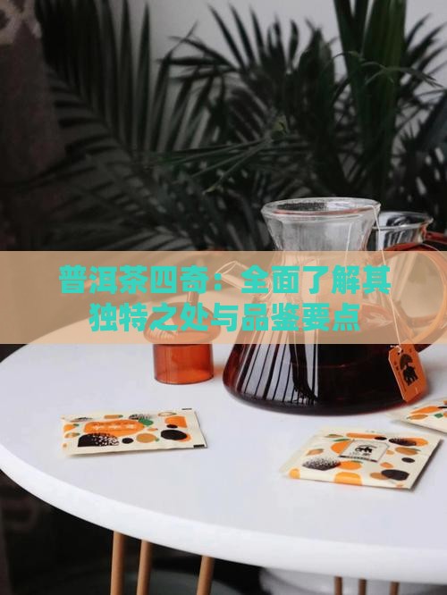 普洱茶四奇：全面了解其独特之处与品鉴要点