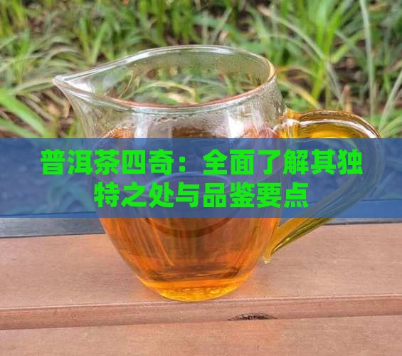 普洱茶四奇：全面了解其独特之处与品鉴要点