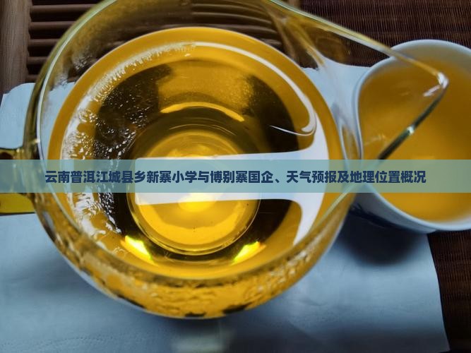 云南普洱江城县乡新寨小学与博别寨国企、天气预报及地理位置概况